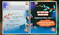 create professional carousel post designs for any business