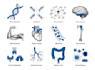 draw detailed medical illustrations