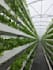 design your greenhouse and hydroponic growing project