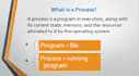 create professional powerpoint presentations and assignments