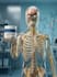 create a viral dr data style ai skeleton animation