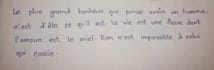 provide professional handwriting and writing services