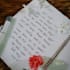handwrite anything in beautiful cursive or plain writing