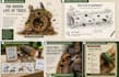 create environmental education worksheets and printables