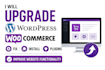 upgrade wordpress woocommerce website fix install plugins website functionality