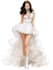 draw professional fashion illustrations and accessories