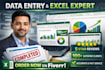 provide accurate data entry and professional excel services