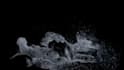 do vfx animation, ocean simulation, 3d water simulation, vfx compositing, fluid