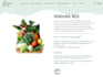 build a custom ecommerce website or product builder system
