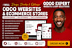 be your odoo expert, odoo website design, odoo erp ecommerce website developer