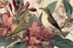 illustrate best botanical illustration