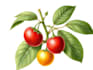 create high quality botanical illustrations with natural elegance