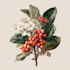 do a botanical illustration