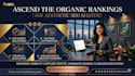 develop a professional SEO strategy and manage SEM campaigns