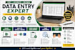 professional data entry and excel work