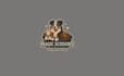 create a professional pet care and sitting logo design