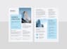 design government capability statement in 6hrs