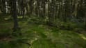 do 3d game environment modeling level design in blender and unity