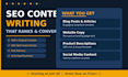 write SEO friendly articles, blog posts and website content