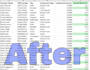 convert PDF to excel data cleaning formatting and analysis 2 years experience