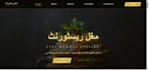 create a professional landing page for your business