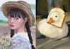 draw a stylized digital portrait or pet illustrations