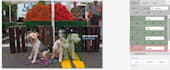 do professional image annotation, data labeling