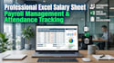 create professional excel salary sheet and payroll system