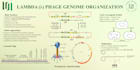 create biotechnology research and academic summaries