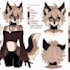 draw furry art, furry ref sheet, fursona ref sheet and anthro ref sheet