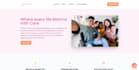 do web app and bug fixing