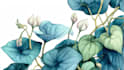 do a botanical illustration