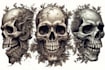 create custom skull art illustrations for posters and merch