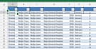 do accurate data entry and excel tasks