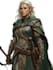 fantasy dnd character illustration