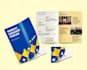 design a professional brochure, booklet or PDF guide