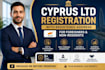 provide personal cross border tax preparation, filing