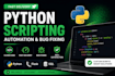 do python scripts, automation, and debugging tasks