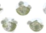 render 2d landscape architecture plan