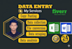 do data entry and data analysis excel and sql and power bi