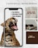 design canva social media posts