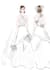 create fashion illustrations and collection concepts