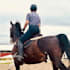 create authentic equestrian social media content