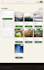 develop responsive full stack websites