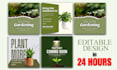 create editable canva templates and instagram post design in 24 hours