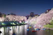 create a custom tokyo japan travel itinerary using ai