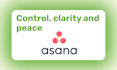be your asana consultant, setup asana project management and automation