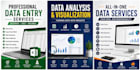 do data entry, data cleaning , excel and data analysis