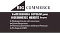 do professional bigcommerce website design redesign bigcommerce store