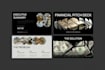 create investment financial report pitch deck presentation executive animated